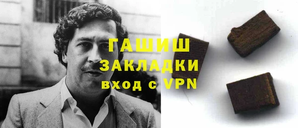 хмурый Алексин