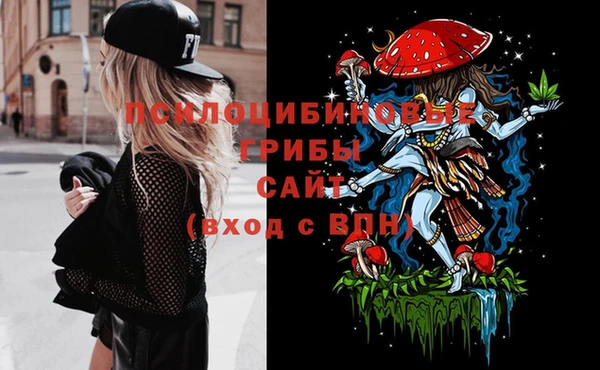 хмурый Абинск