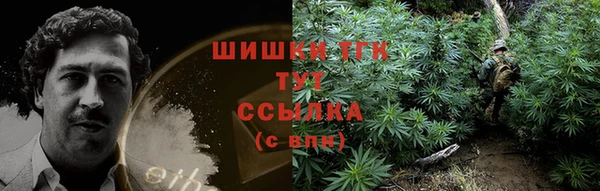 хмурый Абинск