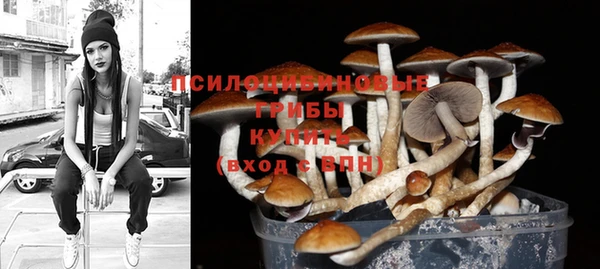 хмурый Абинск