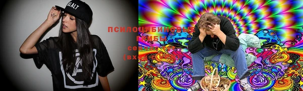 хмурый Абинск