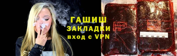хмурый Алексин