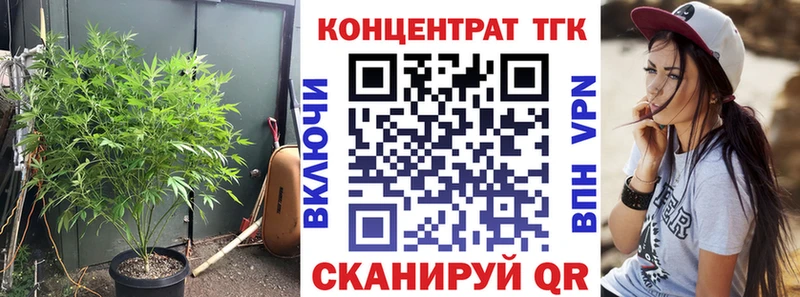 как найти закладки Новая Усмань ТГК гашишное масло